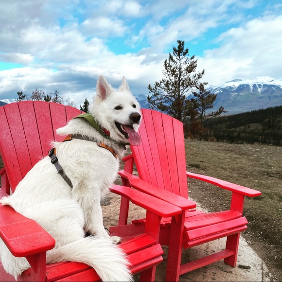 Meet your Posher, Mars - Picture 1 of 2